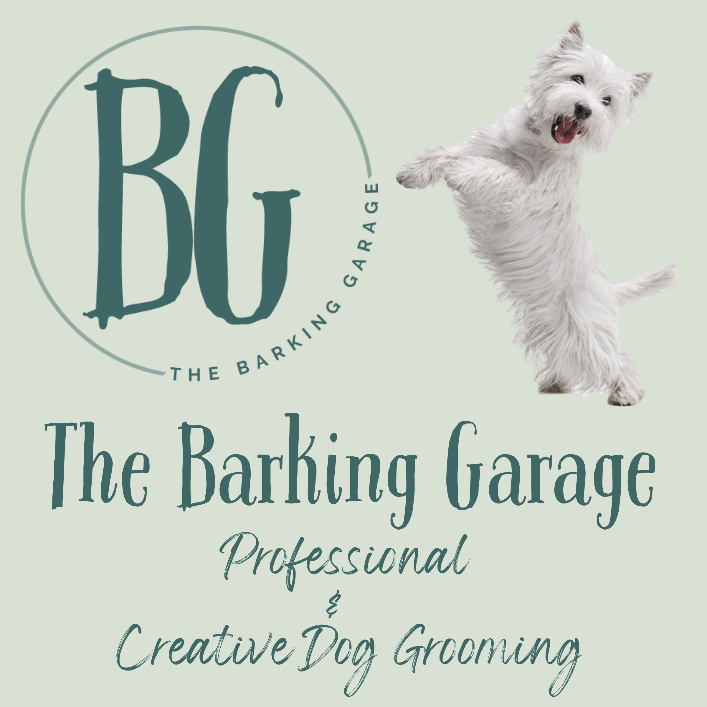 dog groomer garage